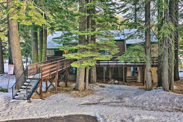 Una cabaña de madera con porche cubierto, rodeada de árboles altos y nieve en el suelo.