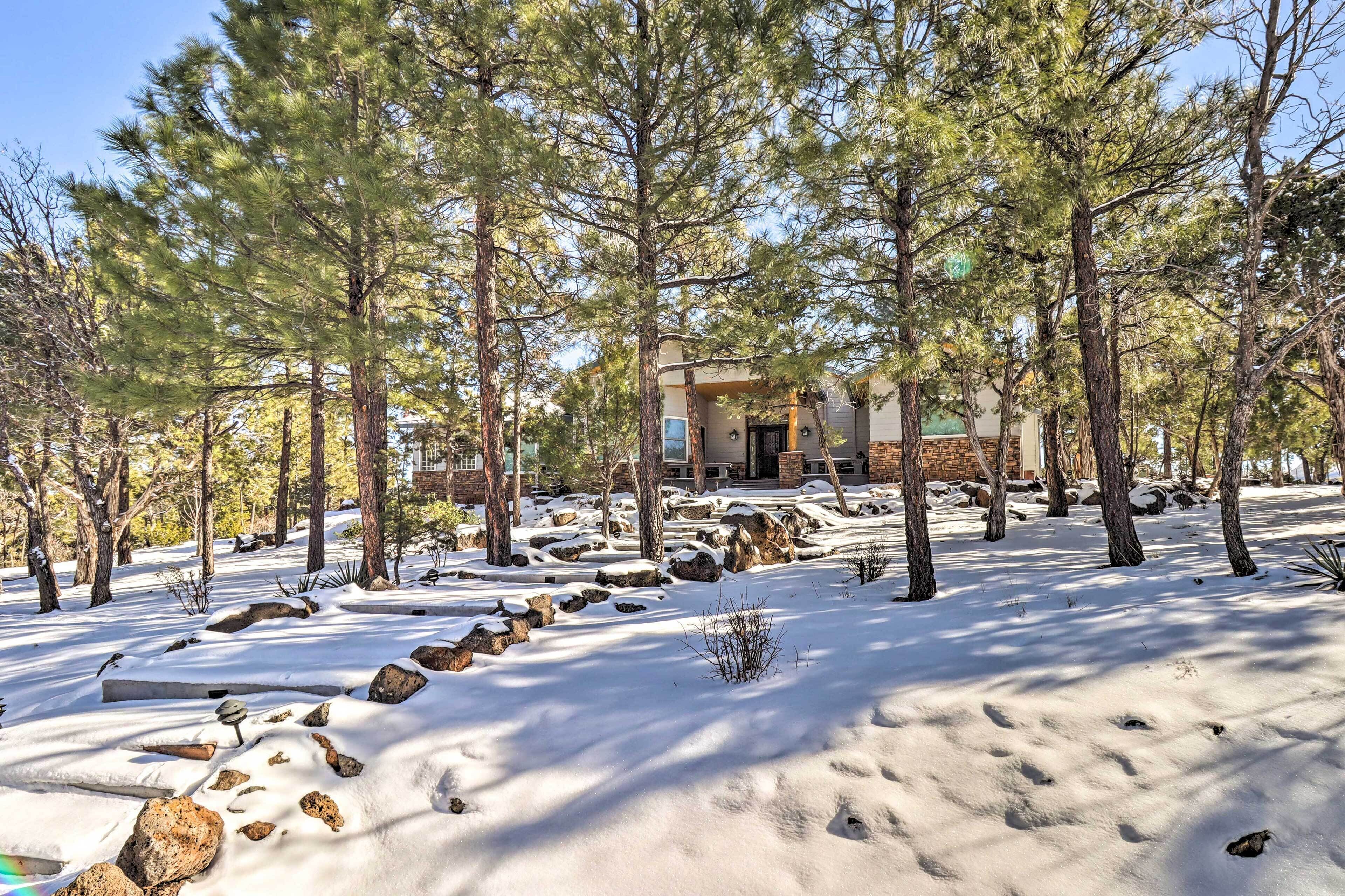 A house surrounded by tall pine trees with snow on the ground and rocks.