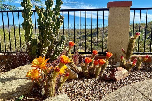Oro Valley Getaway w/ Patio, BBQ & Mountain Views!