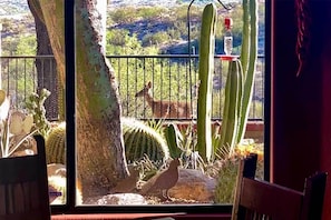 Appartement (3 Bedrooms) | Intérieur