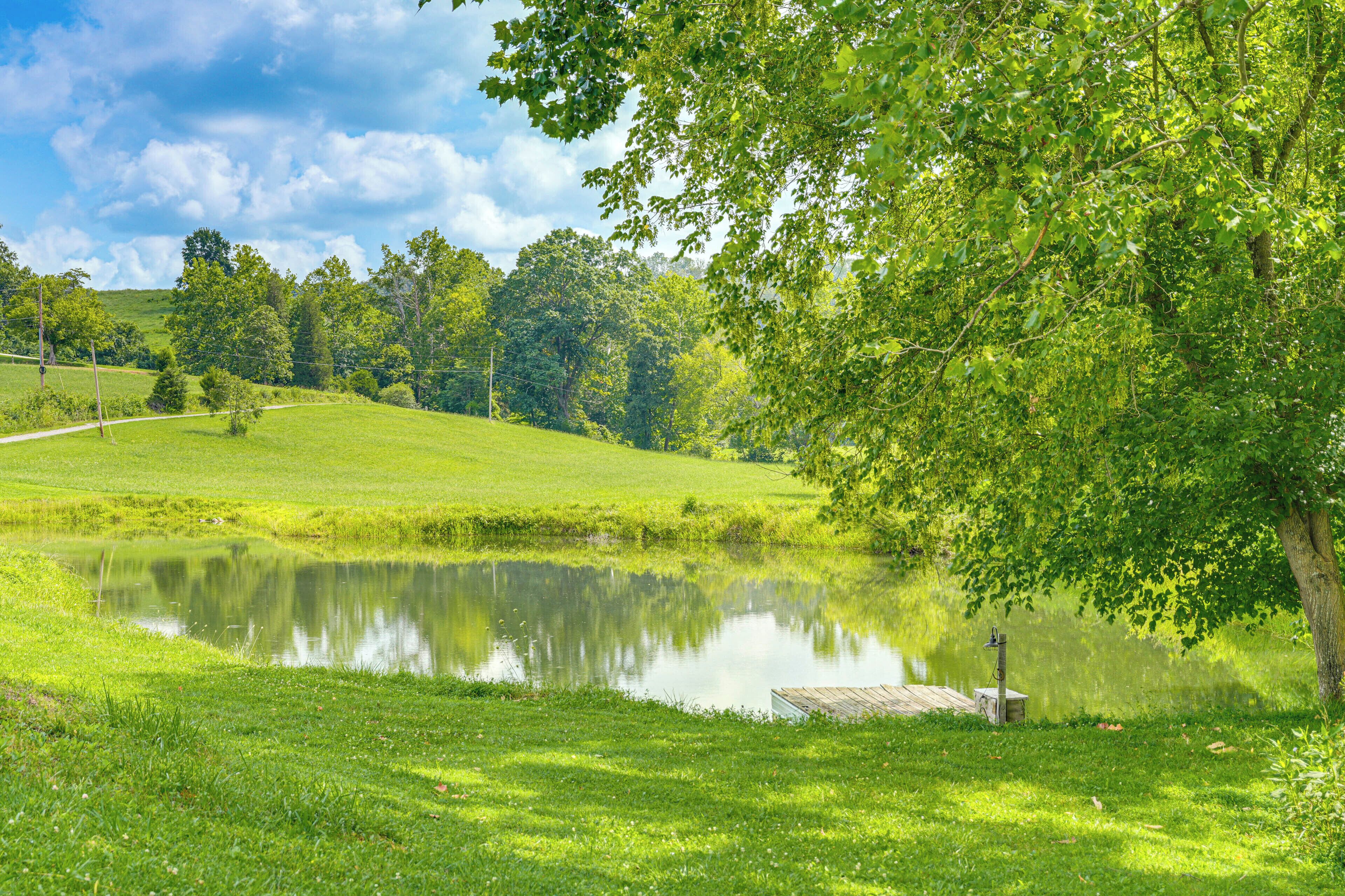 A serene landscape with a pond, grassy fields, and trees.