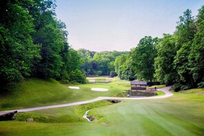 House (4 Bedrooms) | Interior - Cozy Mountain Home at Rumbling Bald Resort! (Lake Lure)
