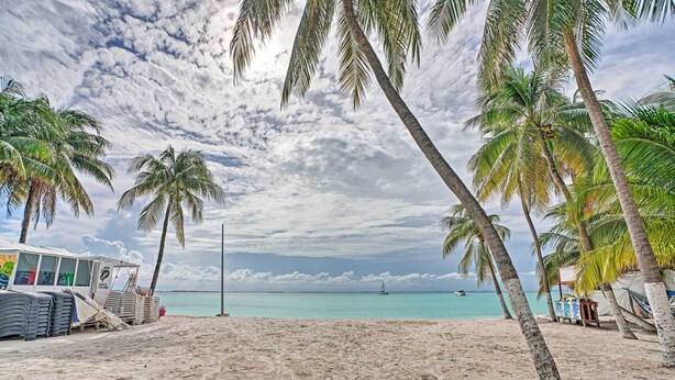 Una playa con palmeras, una cabaña playera y un velero a lo lejos.