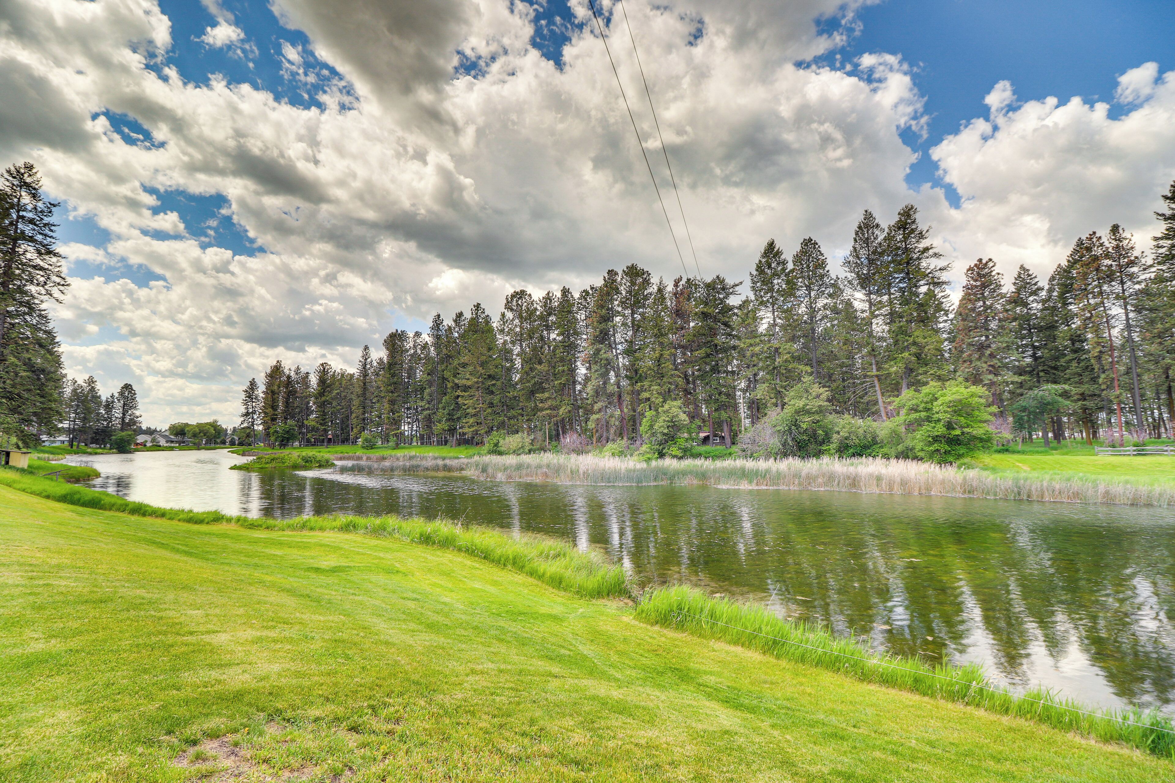 Una vista serena sobre un lago con un primer plano de césped, un lago tranquilo y un bosque denso al fondo.