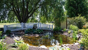 Een tuin met een vijver, een witte brug en een kiosk.