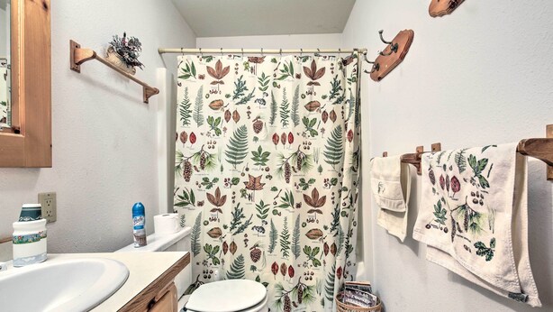 A bathroom with a shower curtain featuring a botanical print, a toilet, a sink, and a wooden shelf with a plant. - Lakefront Phelps Cottage w/ Private Boat Dock (Eagle River)