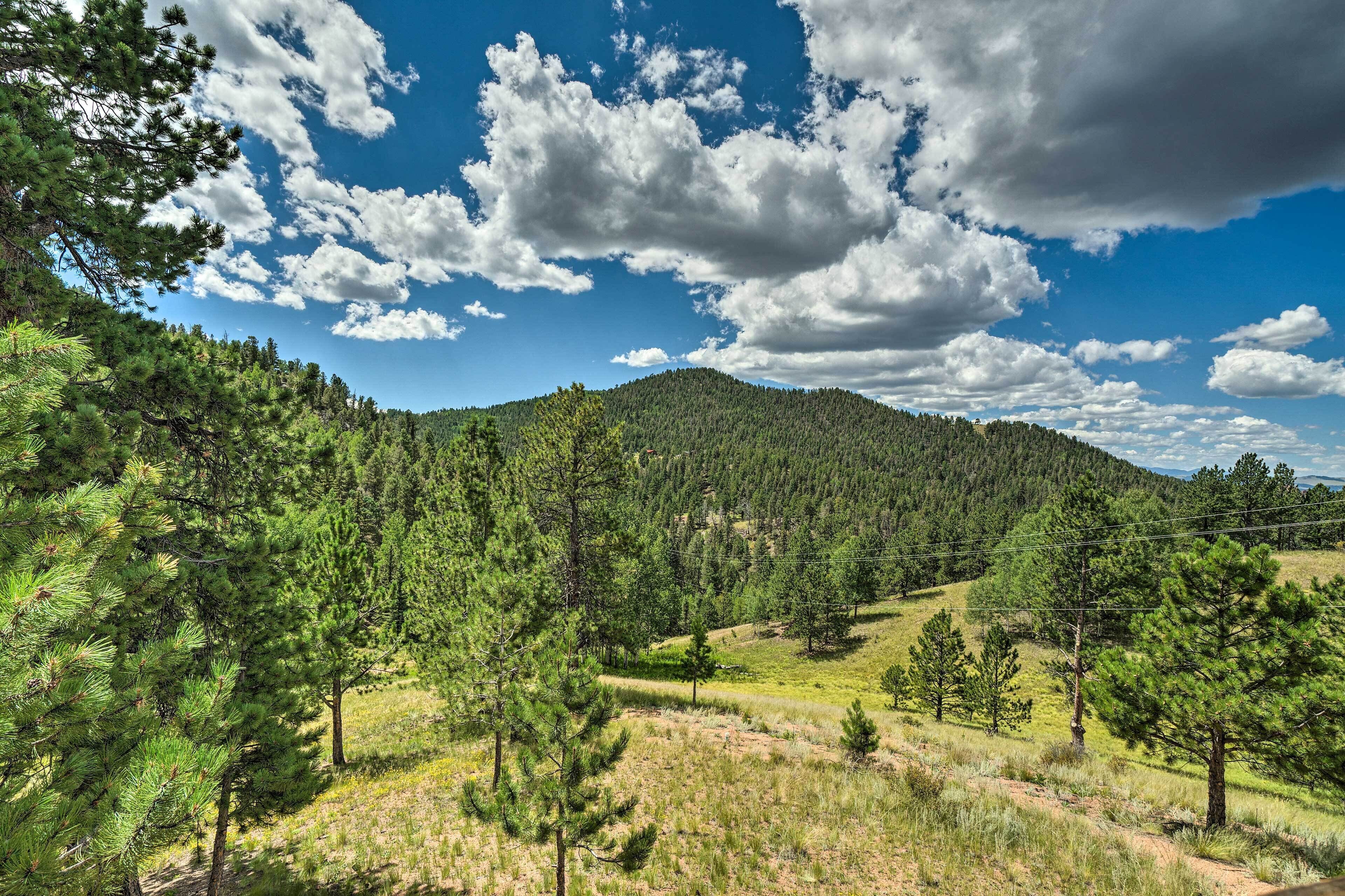 A mountainous landscape with dense forests and a clear sky.