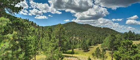 A mountainous landscape with dense forests and a clear sky.