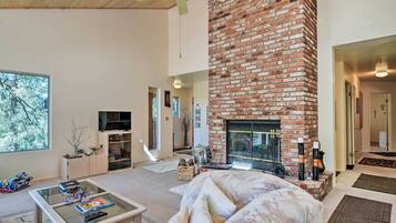 TV, fireplace, books
