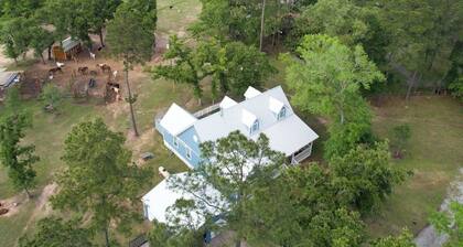 Tranquil Plantersville Cabin: Farm Animals On-site