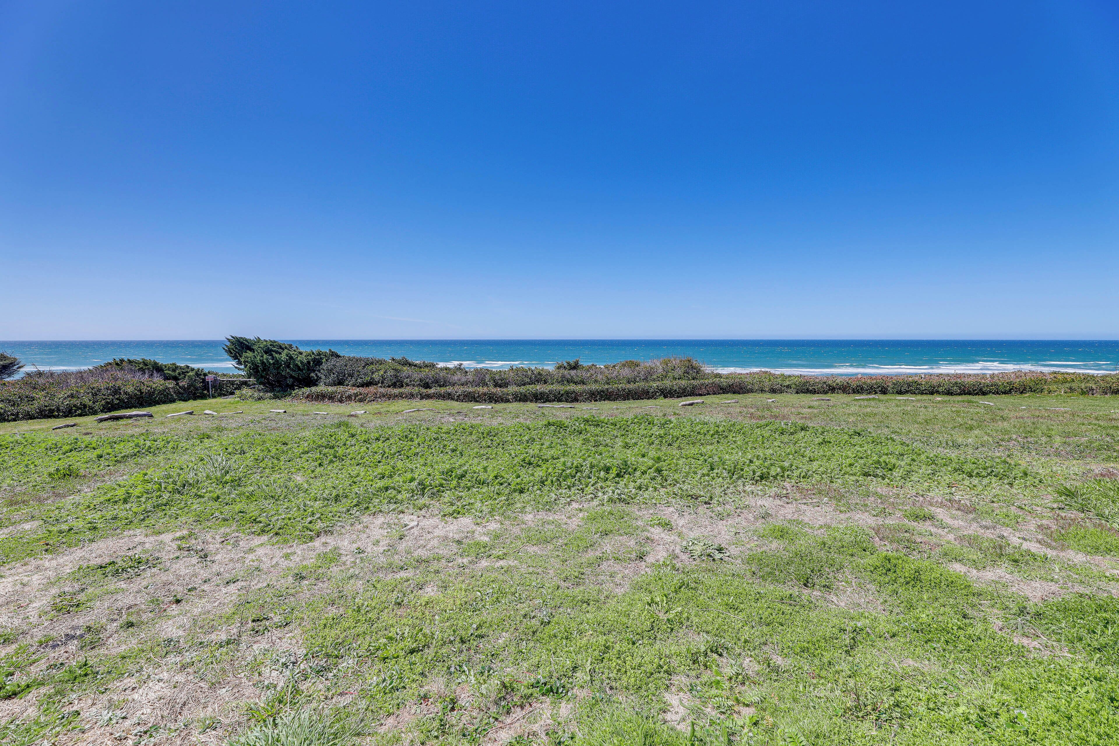 A grassy field with a view of the ocean.