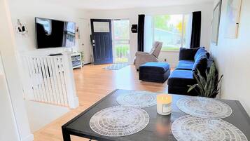 TV, fireplace, video game console, books