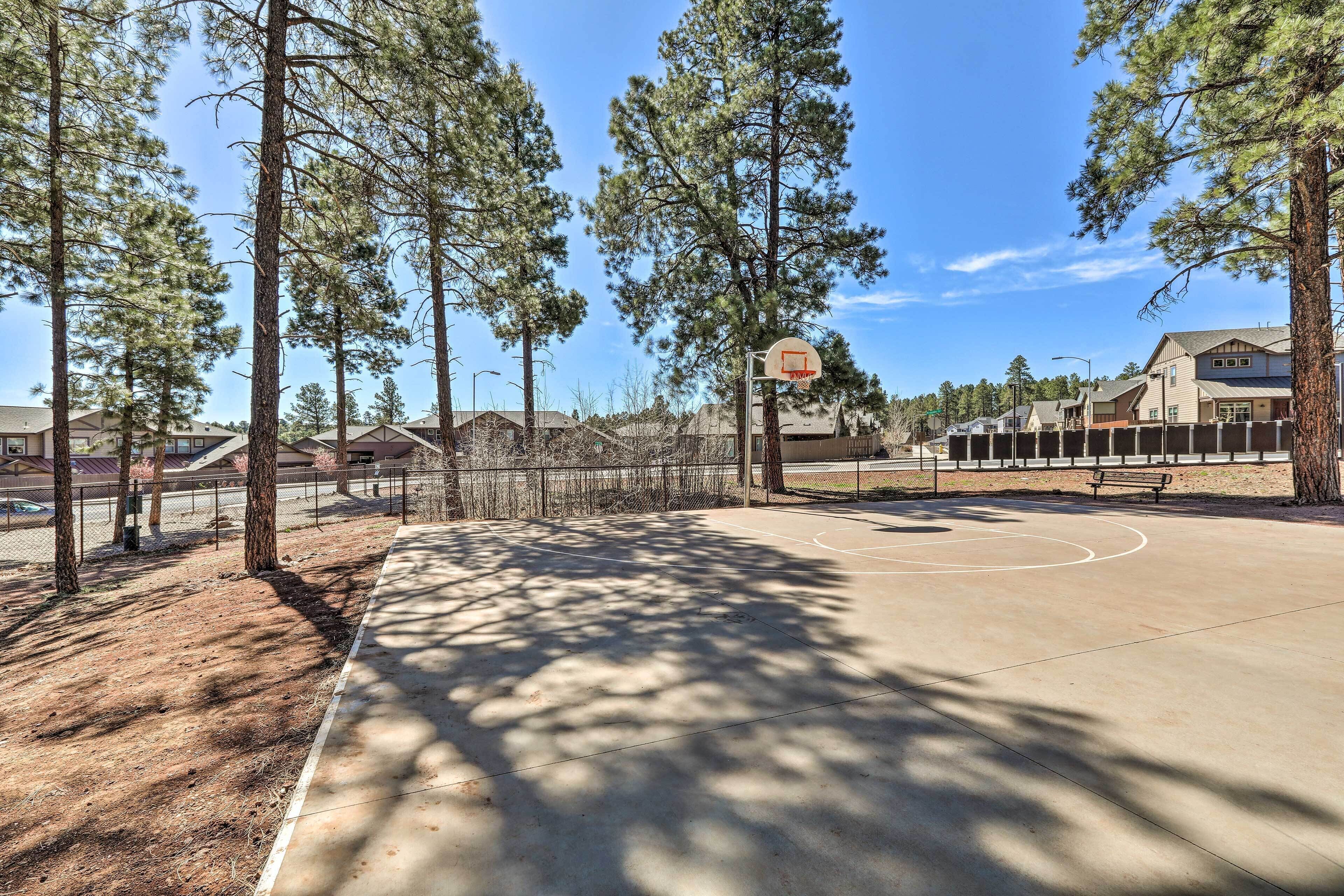 An outdoor basketball court surrounded by tall pine trees, with houses in the background.