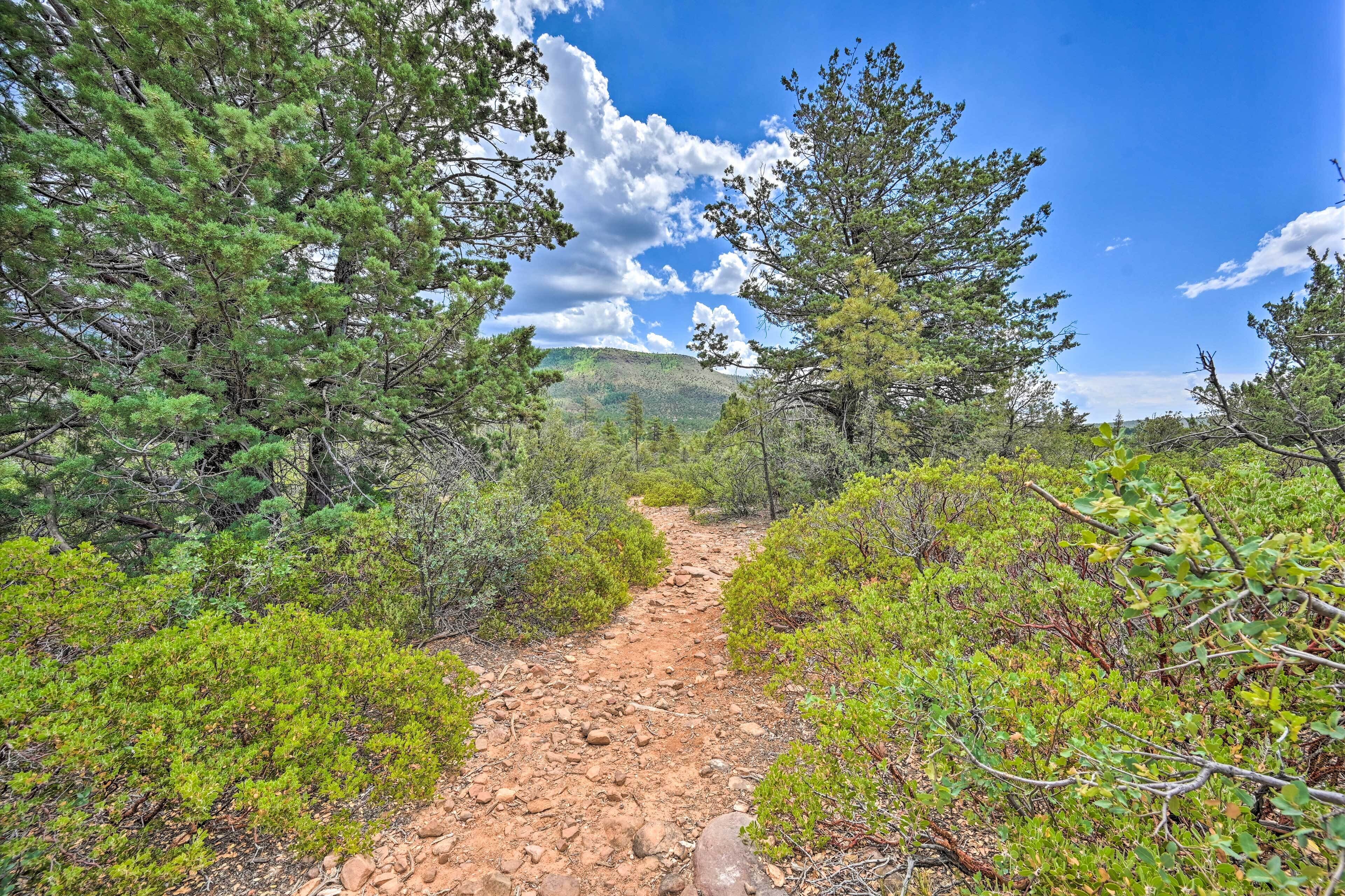 A dirt path surrounded by dense green vegetation and trees, leading towards a hilly landscape.