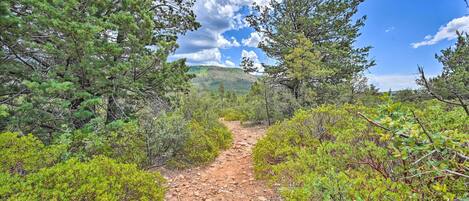 A dirt path surrounded by dense green vegetation and trees, leading towards a hilly landscape.