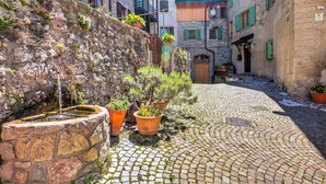 Une rue pavée bordée de murs en pierre, agrémentée de plantes en pot et de bâtiments traditionnels aux volets verts.