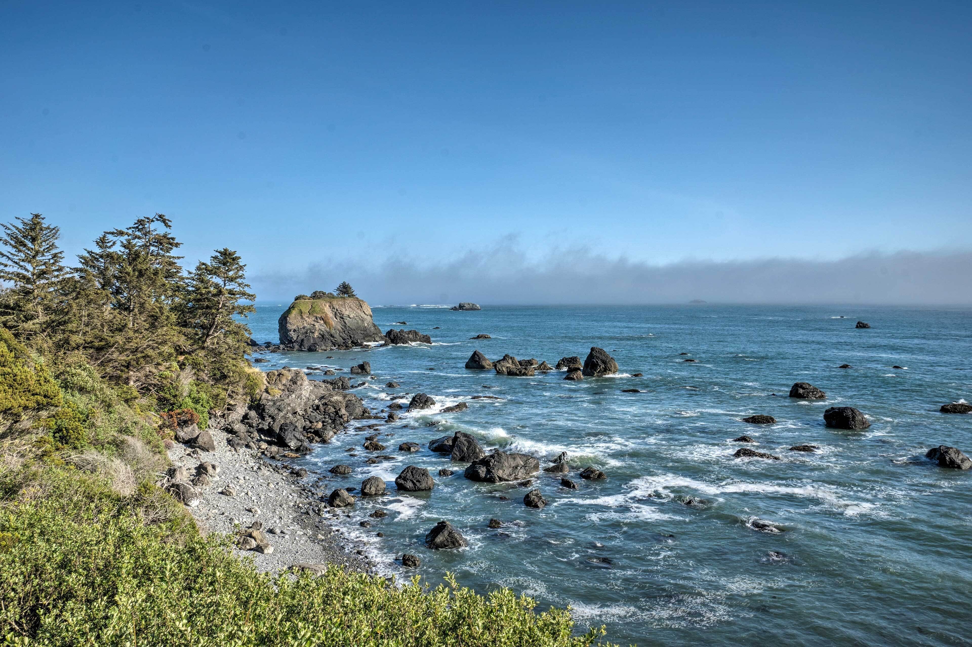 A rocky coastline with waves crashing against the shore, surrounded by dense greenery and a clear blue sky.