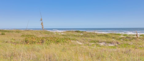 Appartement (3 Bedrooms) | Intérieur