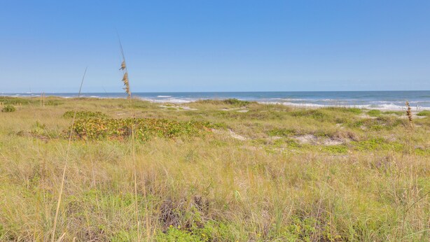A coastal landscape with grassy dunes and a clear view of the ocean. - Central Cocoa Beach Condo w/ View, Steps to Beach! (Cocoa Beach)
