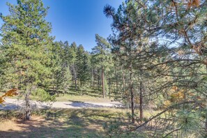 A forested area with a dirt path. - 1 Mi to Flathead Lake: Bigfork Village Retreat (Bigfork)