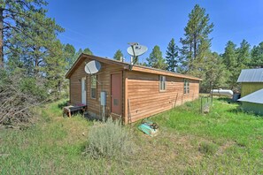 Une petite cabane en bois, dotée d’antennes paraboliques, entourée d’arbres et d’herbe.