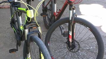 Studio | Property grounds