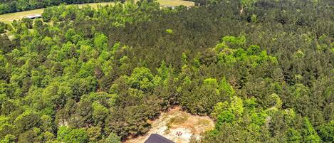 An aerial view of a forested area with a single building surrounded by dense trees.