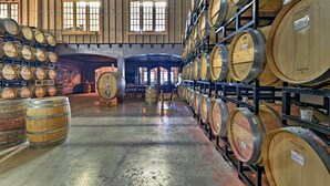 Una bodega con barriles de madera dispuestos en estantes y en el centro.
