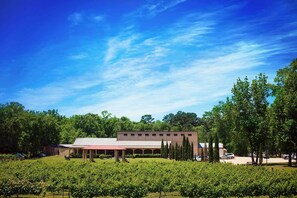 Apartment (1 Bedroom) | Interior - Blue Jay Cottage' - Pittsburg Studio on Winery! (Pittsburg)