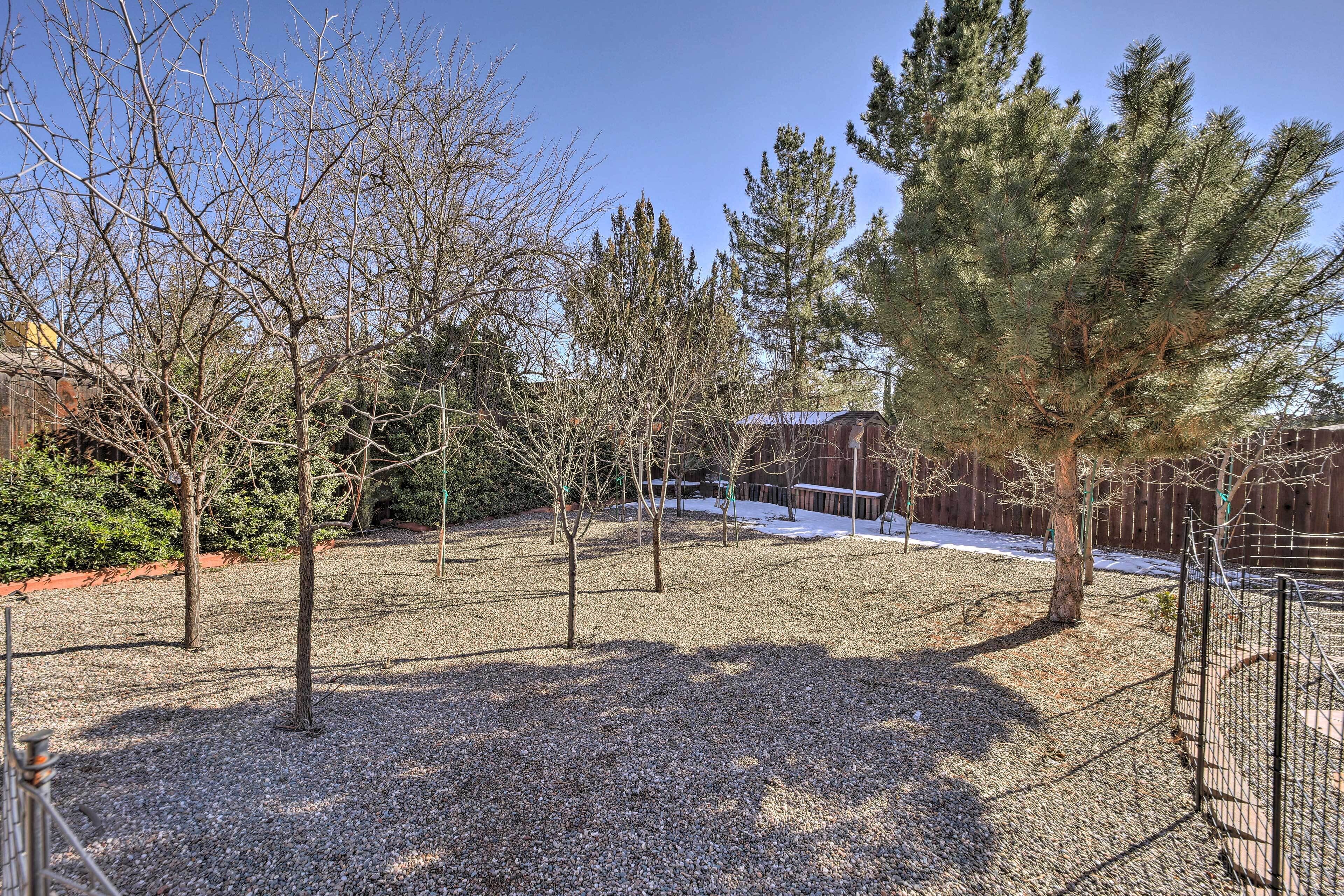 A fenced outdoor area with gravel ground, trees, and a wooden fence.