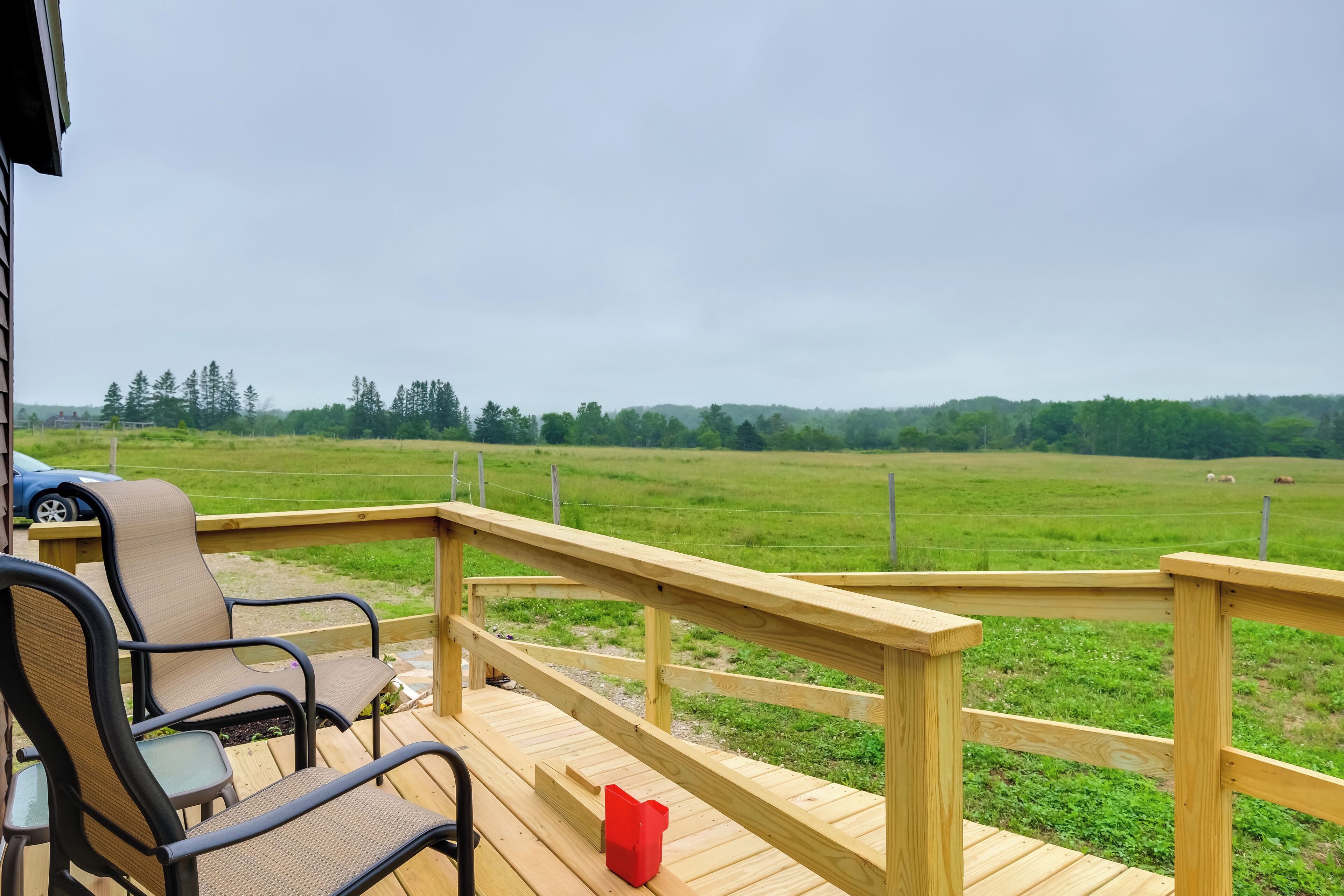 Cottage (1 Bedroom) | Interior