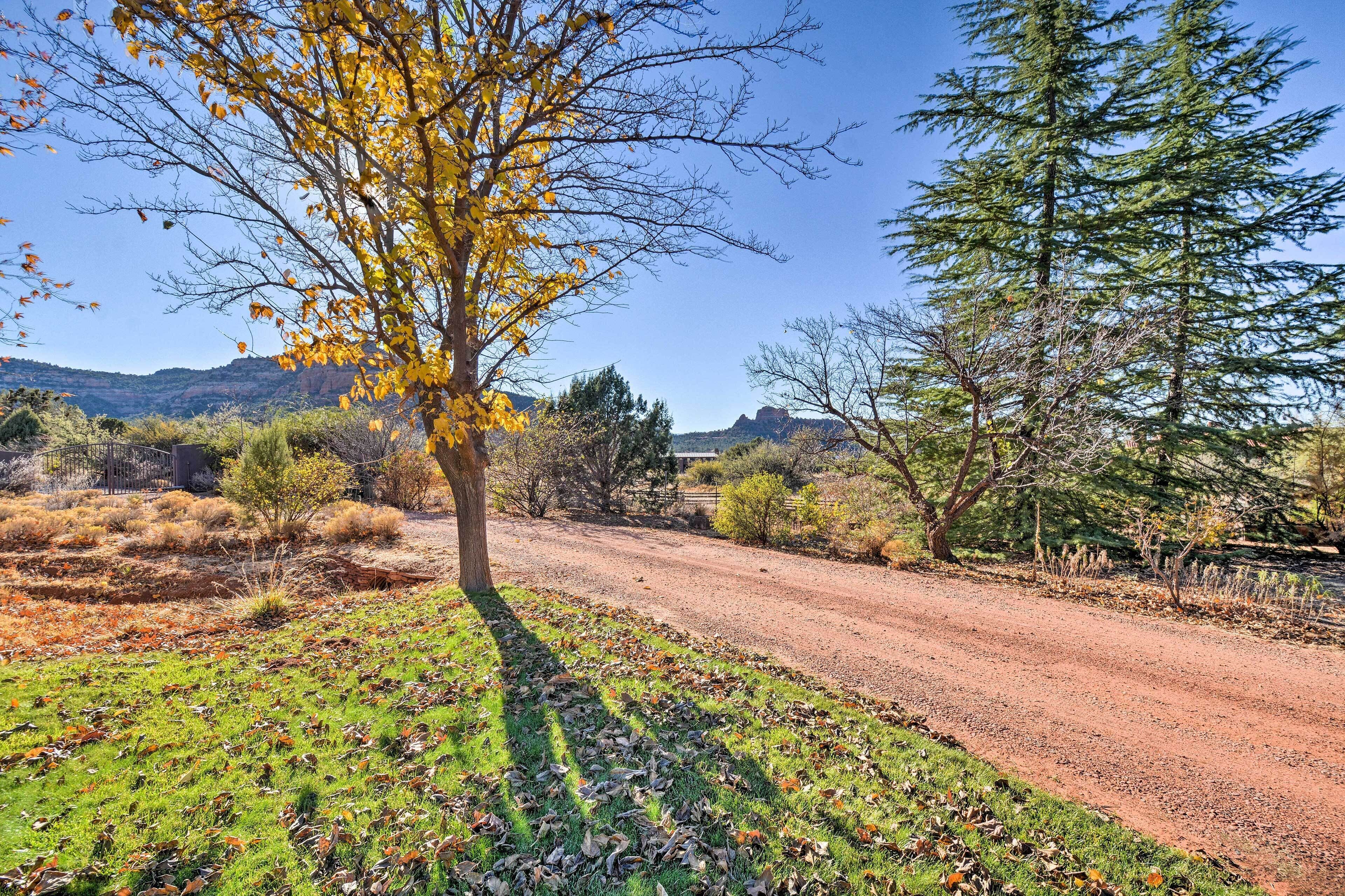 A dirt road leading through a natural landscape with trees and hills in the background.