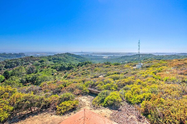 A hilly landscape with a clear view of a distant city skyline, a bridge, and a tall communication tower.