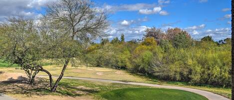 A golf course with a clear path, trees, and a well-maintained lawn.
