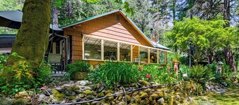 Outdoor Adventure: Tranquil Creekside Retreat