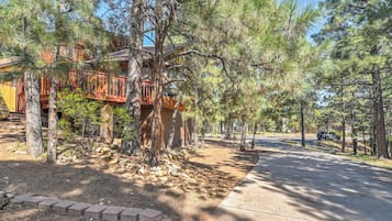 Apartment (3 Bedrooms) | Interior