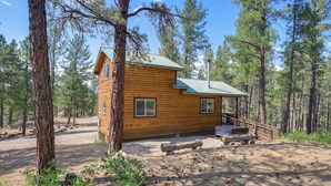 A wooden cabin with a metal roof, surrounded by pine trees. - 'cabin at the Little Ranch' w/ Hiking On-site! (Bayfield)