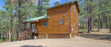 A wooden cabin with a green roof, a staircase, and a gravel driveway surrounded by pine trees.