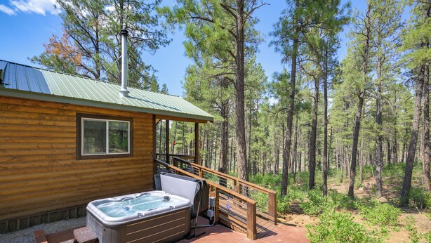 A wooden cabin with a hot tub and a deck overlooking a forest. - 'cabin at the Little Ranch' w/ Hiking On-site! (Bayfield)