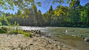 Une rive bordée d’une eau claire, entourée d’une forêt dense et baignée par la lumière du soleil qui filtre à travers les arbres.