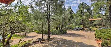 A covered outdoor area with a gravel driveway, surrounded by pine trees and shrubs.