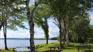 Area pic-nic sul lago, con betulle e tavoli da pic-nic.