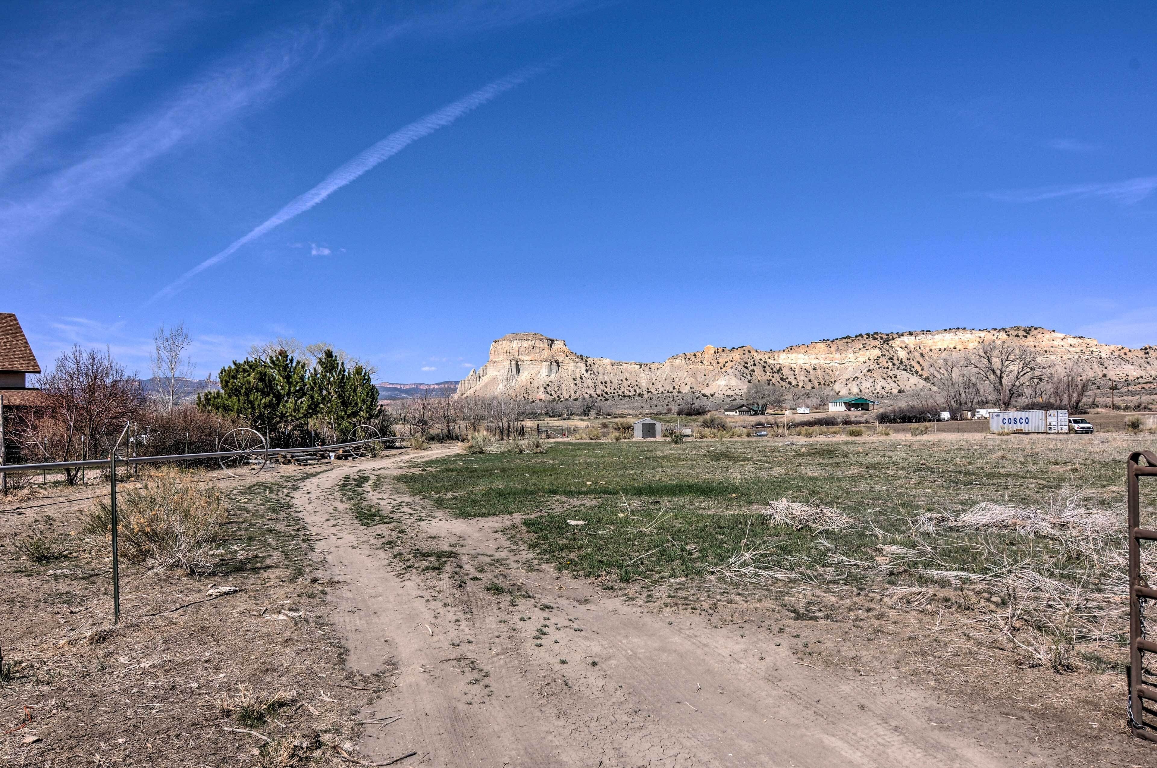 A rural landscape with a dirt path, sparse vegetation, and a distant hill.