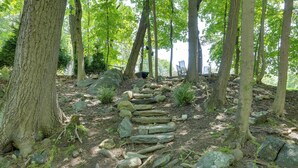 A forested area with a stone pathway leading through trees. - Updated Getaway w/ Pool & Hot Tub on < 3 Acres! (Stony Point)