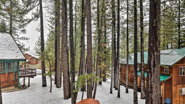 A cabin surrounded by tall pine trees with a snow-covered ground. - Truckee Winter Escape 6 Mi to Ski Slopes! (Truckee)