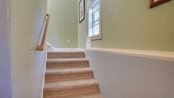 A carpeted staircase with a handrail, light green walls, and a window with a white frame.