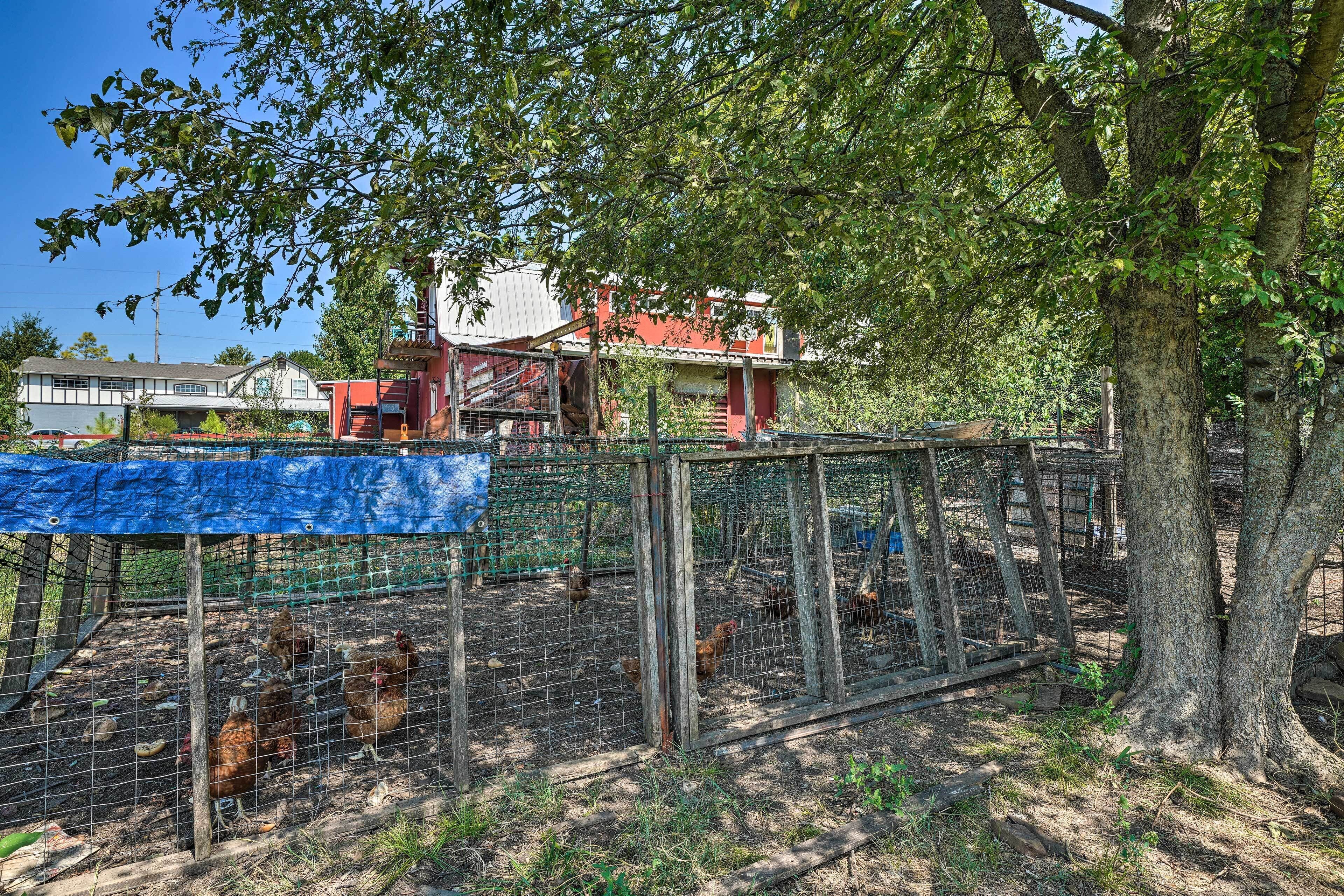 Khuôn viên nơi lưu trú