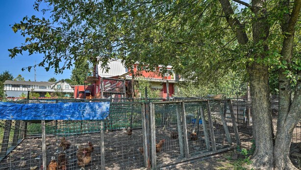 Un paysage rural avec un espace clos où se trouvent des poules, un arbre et, au fond, un bâtiment rouge.