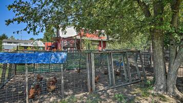 Khuôn viên nơi lưu trú