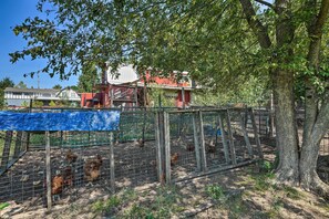 Khuôn viên nơi lưu trú